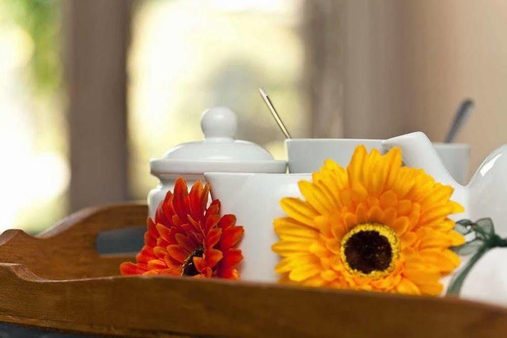 Twin Waters Guest House Randburg Dış mekan fotoğraf